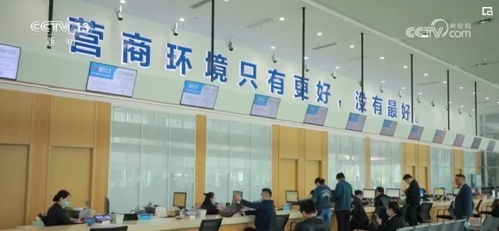 数字服务三连击 便民暖心、助企惠企，共筑经济发展新引擎