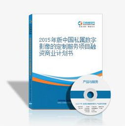 2015年中国私属数字影像定制服务融资商业计划书